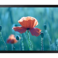MON 24ADS LFD WIFI SOC HDMI LAN QB24R-B  USB LAN