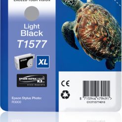INK EPSON NERO CHIARO PER STYLUS PH