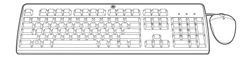 ACCESSORI VARI INTEL HPE USB FR KE YBOARD/MOUSE KIT