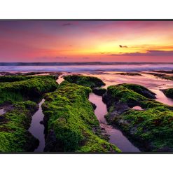 MON 65DS IPS 4K 350NIT 4000:1 HDMI QB65B LAN DP WIFI HDMI